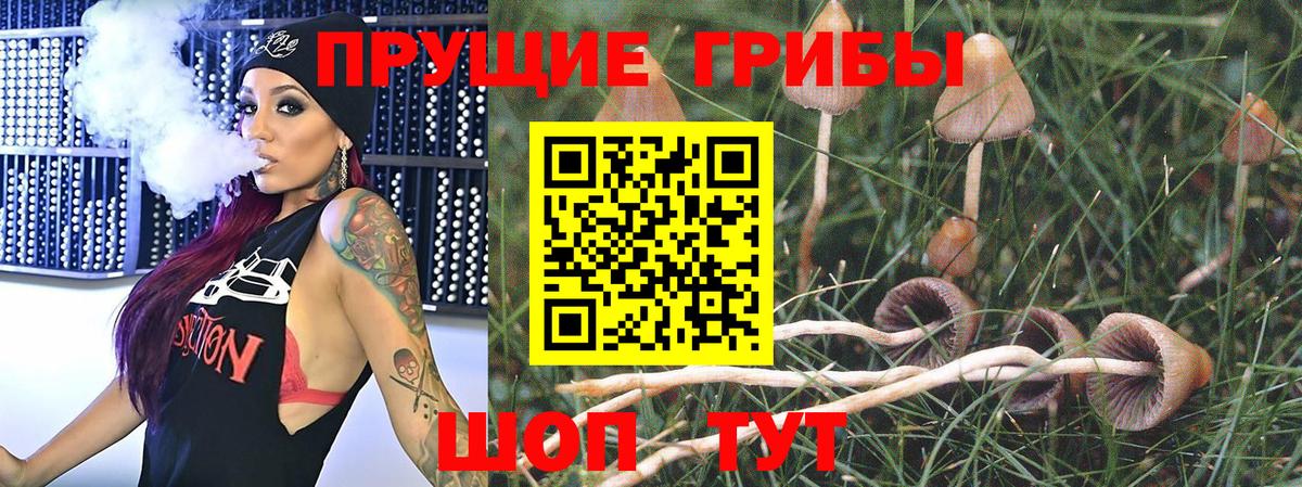Псилоцибиновые грибы мицелий  Вход с VPN  Барабинск 